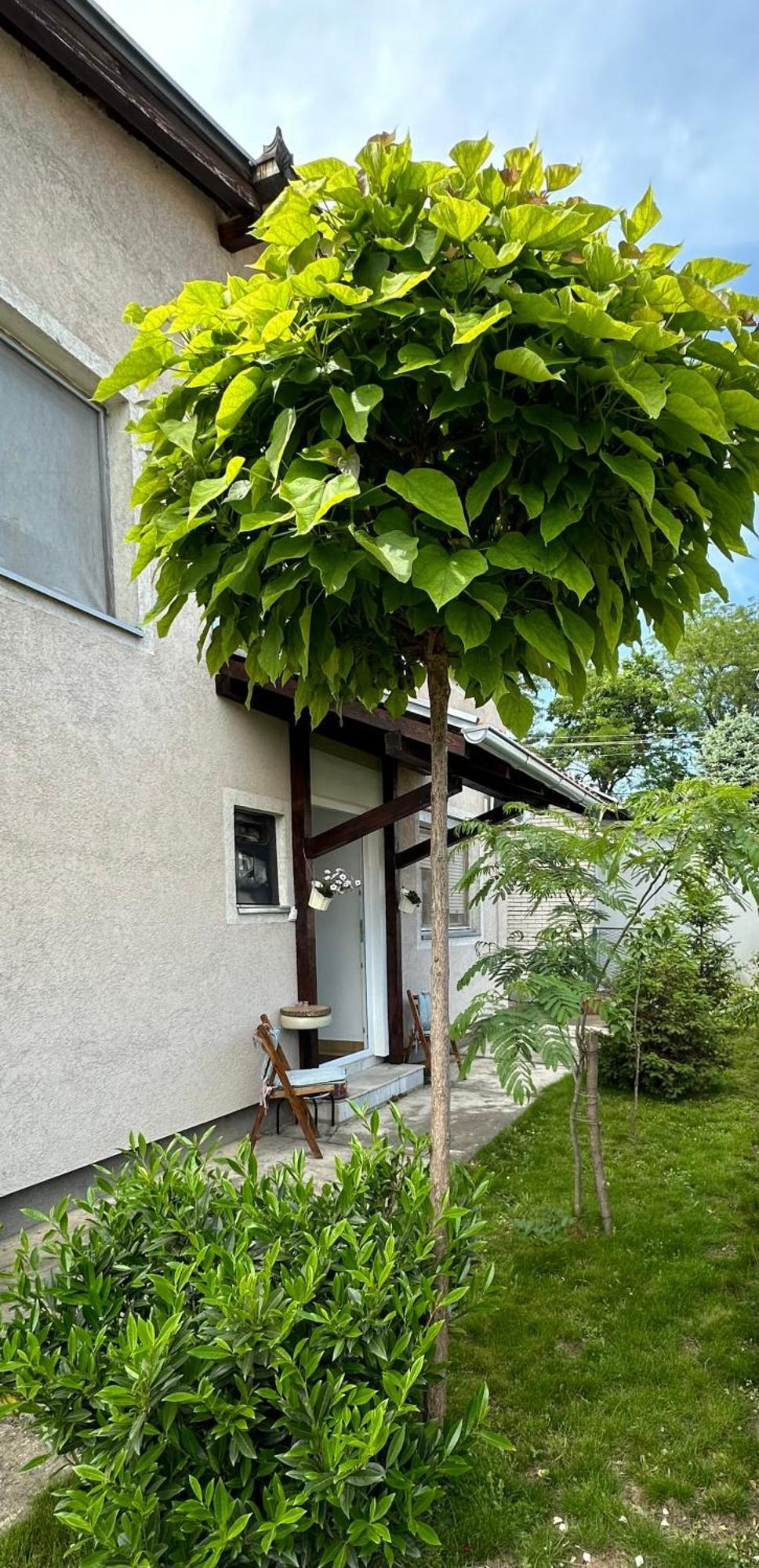 Day & Night Apartment Ćuprija المظهر الخارجي الصورة